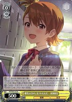 【ヴァイス】Ｎ◇微笑んだから、気づいたんだ。 双海亜美