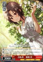 ヴァイスシュヴァルツ765PROプライヴェイトロードショウ水瀬伊織SPサイン3枚 N プライヴェイト・ロードショウ 水瀬伊織 販売 | プレミアム