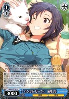 ヴァイスシュヴァルツ　Coming Smile 如月千早 SP 最安値 ヴァイスシュヴァルツ sp ヴァイスシュヴァルツ Coming Smile