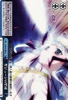 【ヴァイス】CC◇聖ジョージの聖域