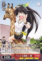 【ヴァイス】C◇ペット大捜索! 響