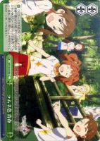 【ヴァイス】ＣＣ◇ラムネ色　青春［ｂ］