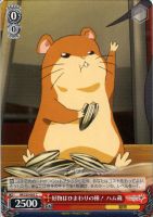 【ヴァイス】C◇好物はひまわりの種! ハム蔵