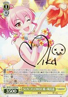 カードを買う/ヴァイスシュヴァルツ/2024年度作品(並び順：発売