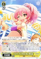 カードを買う/ヴァイスシュヴァルツ/2024年度作品/アイドル