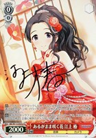 カードを買う/ヴァイスシュヴァルツ/2024年度作品(並び順：発売