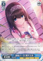 カードを買う/ヴァイスシュヴァルツ/2024年度作品(並び順：新着