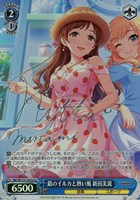 【ヴァイス】Co)サイン付◇銀のイルカと熱い風 新田美波