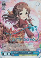 カードを買う/ヴァイスシュヴァルツ/2024年度作品(並び順：新着