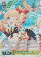 カードを買う/ヴァイスシュヴァルツ/2024年度作品/アイドル