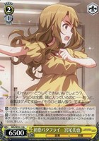 初恋バタフライ 宮尾美也