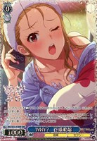 WHY? 百瀬莉緒[箔押し]