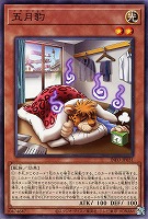 【遊戯王】ノーマルレア◇五月豹