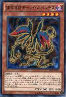【遊戯王】ノーマル）モンスター◇捕食植物モーレイ・ネペンテス[ﾌﾟﾚﾃﾞﾀｰﾌﾟﾗﾝﾂ]