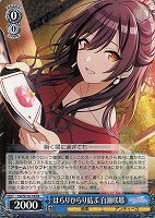 カードを買う/ヴァイスシュヴァルツ/2024年度作品/アイドル