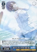 カードを買う/ヴァイスシュヴァルツ/2024年度作品/アイドル