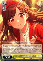 【ヴァイス】Ｎ◇うつくしいあした 園田智代子