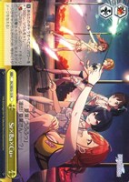 【ヴァイス】N◇Sr×Ba×Cu=