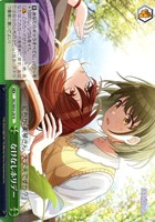 【ヴァイス】N◇なけなしホリデー