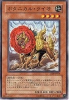【遊戯王】ノーマルレア◇ボタニカル・ライオ