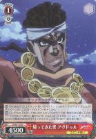 【ヴァイス】N◇帰ってきた男 アヴドゥル