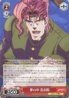 【ヴァイス】N◇夢の中 花京院