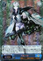 【ヴァイス】C)ホロ仕様◇戦艦タ級