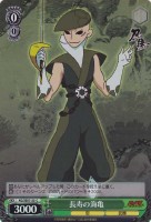 長寿の海亀[ホロ仕様]