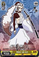 堕剣士 錆 白兵