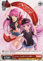 【ヴァイス】N◇Extreme Flag 逢川 めぐみ&國見 タマ