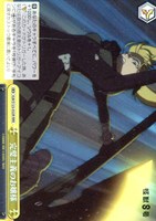 【ヴァイス】ＲＲＲ◇完璧主義のお嬢様