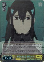 【ヴァイス】ＲＲＲ◇８号の行方 亜白ミナ