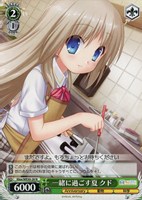 【ヴァイス】N◇一緒に過ごす夏 クド