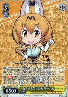 カードを買う/ヴァイスシュヴァルツ/2017年度作品/けもの