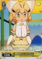 【ヴァイス】U◇興味津々? スナネコ