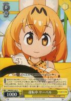 【ヴァイス】C◇運転中 サーバル
