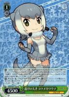 【ヴァイス】FR◇遊びの天才 コツメカワウソ