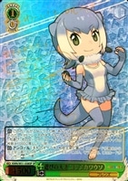 【ヴァイス】SP)サイン付◇遊びの天才 コツメカワウソ