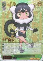 ヴァイスシュヴァルツ　けものフレンズ　フルレア　ガチ構築　即日発送 ヴァイスシュヴァルツ けものフレンズ フルレア ガチ構築 即日発送