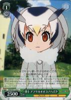 【ヴァイス】C◇博士 アフリカオオコノハズク