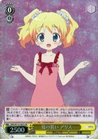 夏の装い アリス