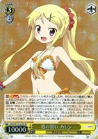 夏の装い カレン