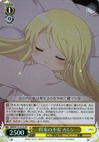 将来の不安 カレン