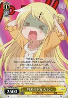 将来の不安 カレン