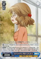 待ちわびた季節 烏丸先生