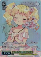 シノからの贈り物 アリス[サイン付]