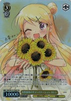 高校最後のサマーバケーション カレン[サイン付]