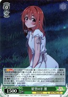 【ヴァイス】ＳＲ◇星空の下 墨