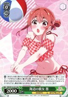 【ヴァイス】ＳＲ◇海辺の彼女 墨