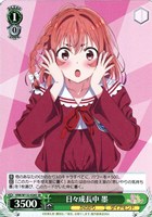 【ヴァイス】ＳＲ◇日々成長中 墨